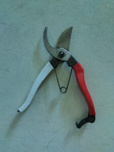 「道具用意せい！」