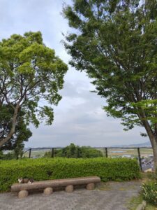 兇悪の伐木