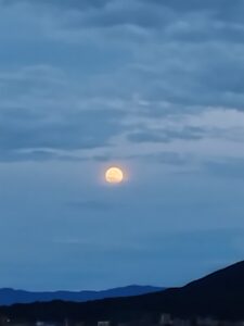 名月プラスワン